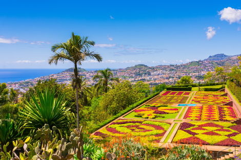 Circuit Madère Saveur Rando funchal Madère