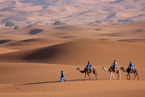 Desert de lompoul